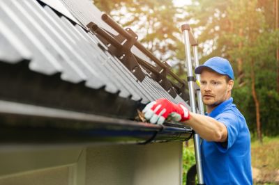 Gutter Cleaning Specialists